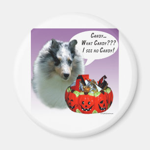 Aimant Shetland Sheepdog (Merle) HalloweenCandy