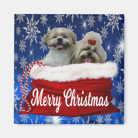 Aimant Shih tzu Christma (Devant)