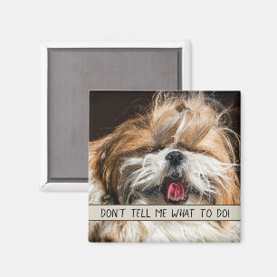 Aimant Shih tzu langue drôle Ne me dites pas quoi faire