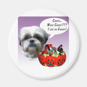 Aimant Shih Tzu (naturel) Halloween Candy