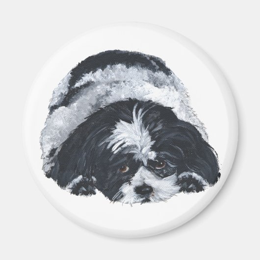 Aimant Shih Tzu Noir & Blanc (Devant)