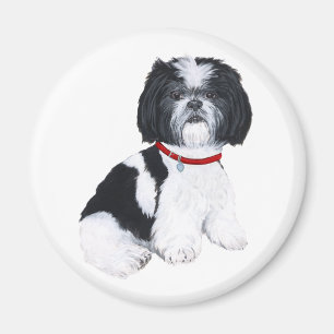 Aimant Shih Tzu noir et blanc