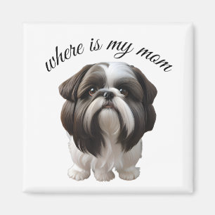 Aimant Shih Tzu - Où Est Ma Mère