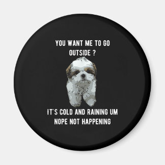 Aimant Shih Tzu | Shih Tzu Vous Voulez Que Je Suis Dehors