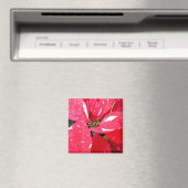 Aimant Shimmer Star Surprise Poinsettia vacances Florale (In Situ (Lave-vaisselle))