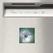 Aimant shinwhite (In Situ (Lave-vaisselle))