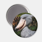Aimant Shoebill (Recto/Verso)