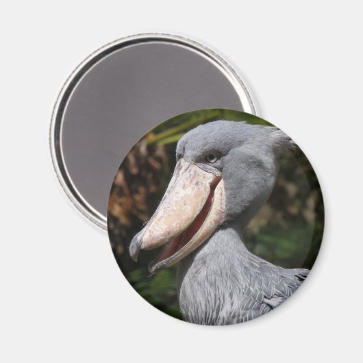 Aimant Shoebill (Recto/Verso)