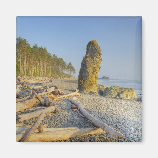 Aimant Shoreline et Seals, Ruby Beach, Jeux olympiques (Devant)