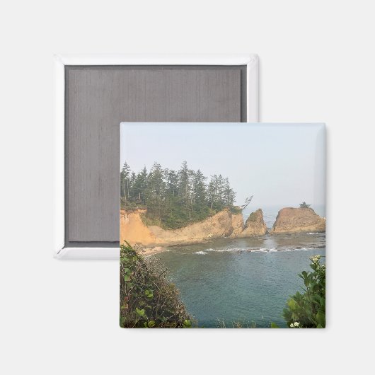 Aimant Shores Acres State Park, Oregon Coast (Recto/Verso)