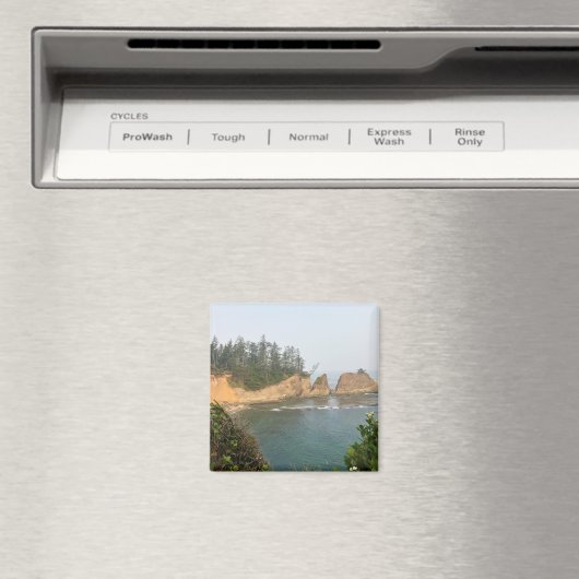 Aimant Shores Acres State Park, Oregon Coast (In Situ (Lave-vaisselle))