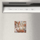 Aimant Shrimpy (In Situ (Lave-vaisselle))