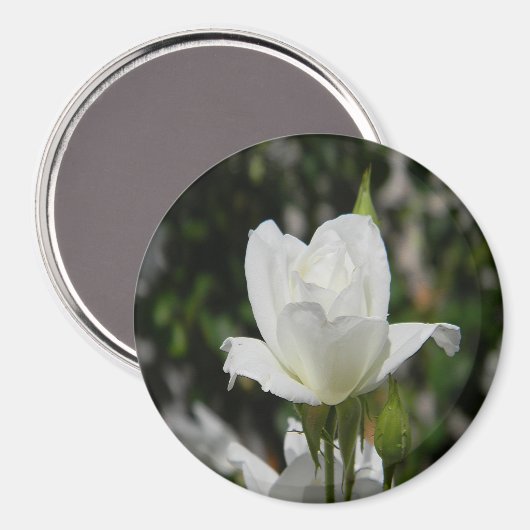 Aimant Si pure..... (Recto/Verso)