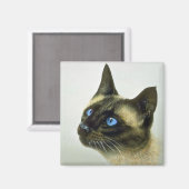 Aimant Siamese (étude en tête) (Recto/Verso)