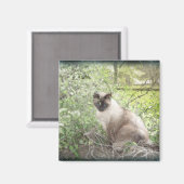 Aimant Siamese & Vines (Recto/Verso)