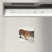 Aimant Sibérian (In Situ (Lave-vaisselle))