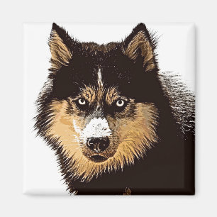 Aimant Sibérien Husky