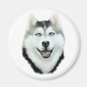 Aimant Sibérien Husky