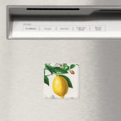 Aimant Sicilian lemon (In Situ (Lave-vaisselle))