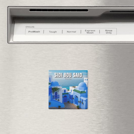 Aimant Sidi Bou Dit Que Tunisie Voyage (In Situ (Lave-vaisselle))