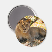 Aimant Siesta Time (Recto/Verso)