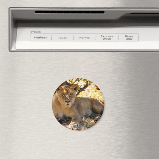 Aimant Siesta Time (In Situ (Lave-vaisselle))