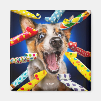 Aimant Sifflets de fête pour chien heureux