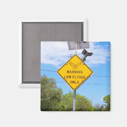 Aimant Signal Avertissement Petite Chouette Volante (Recto/Verso)