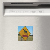 Aimant Signal d'avertissement de l'orignal (In Situ (Lave-vaisselle))