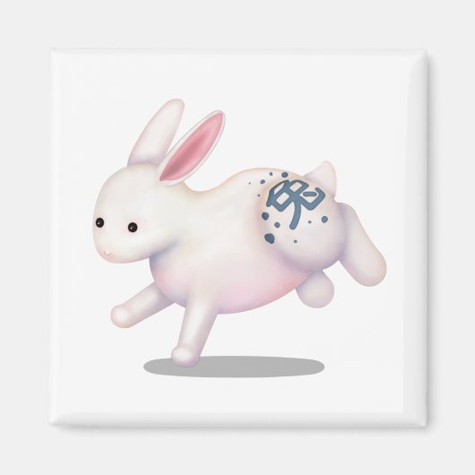 Aimant SIGNE D'Astrologie Chinoise Zodiac Rabbit (Devant)