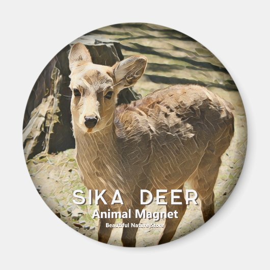 Aimant Sika Deer マ グ (Devant)