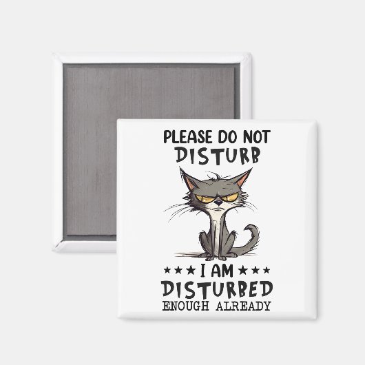 Aimant S'Il Vous Plaît Ne Disturbe Pas Sarcasme Funny Réf (Recto/Verso)