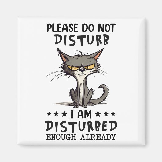 Aimant S'Il Vous Plaît Ne Disturbe Pas Sarcasme Funny Réf (Devant)