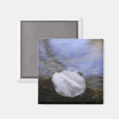 Aimant Silence (Recto/Verso)