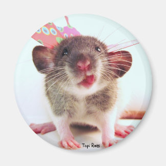 Aimant Silencieux Flutterby Rat