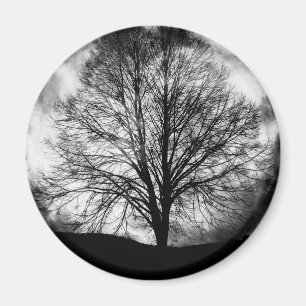 Aimant Silhouette d'arbre devant une Pleine lune