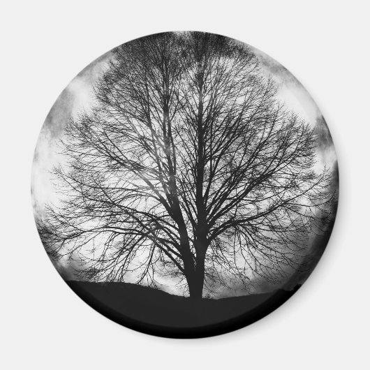 Aimant Silhouette d'arbre devant une Pleine lune (Devant)