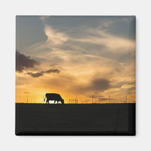 Aimant Silhouette de bétail au coucher du soleil