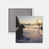 Aimant Silhouette de chien dans le paysage neigeux (Recto/Verso)