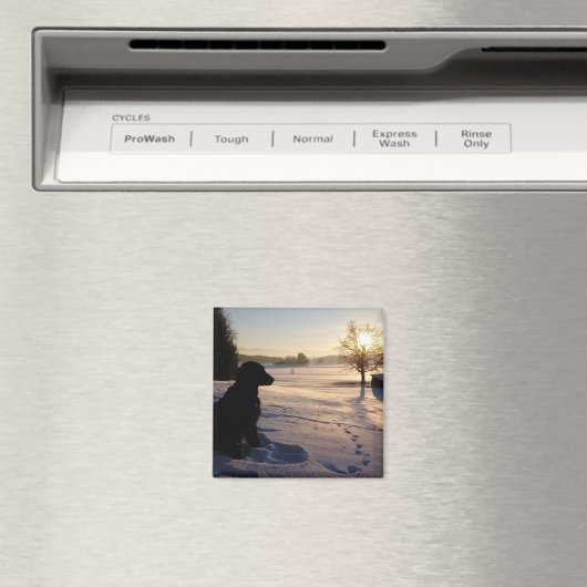 Aimant Silhouette de chien dans le paysage neigeux (In Situ (Lave-vaisselle))