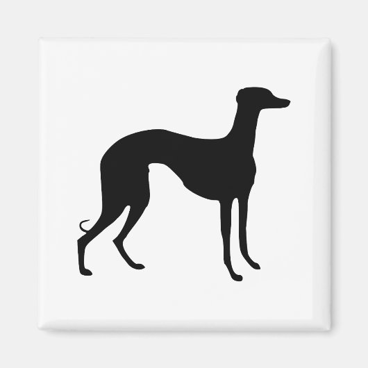 Aimant Silhouette de Greyhound (Devant)