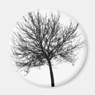 Aimant Silhouette de l'arbre