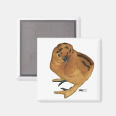Aimant Silkie Red Chick (Recto/Verso)