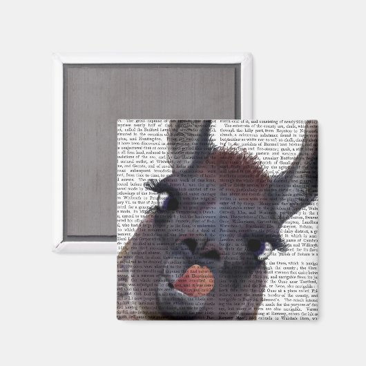 Aimant Silly Llama (Recto/Verso)