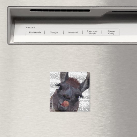 Aimant Silly Llama (In Situ (Lave-vaisselle))