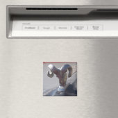 Aimant Silver (In Situ (Lave-vaisselle))