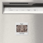 Aimant Silver Lab "My Best Guy" (In Situ (Lave-vaisselle))