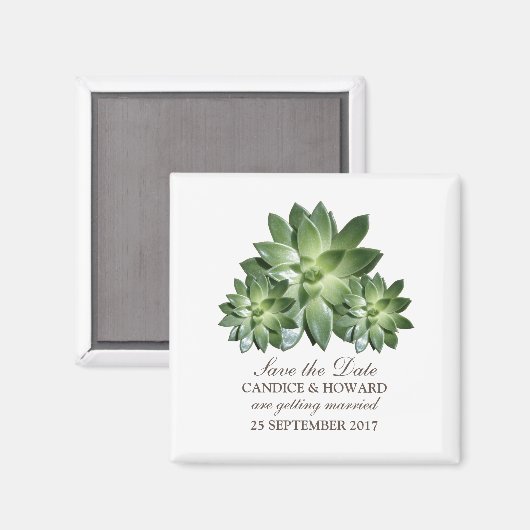 Aimant Simple Succulent Enregistrer l'aimant Date (Recto/Verso)