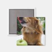 Aimant Singapour 5 (Recto/Verso)