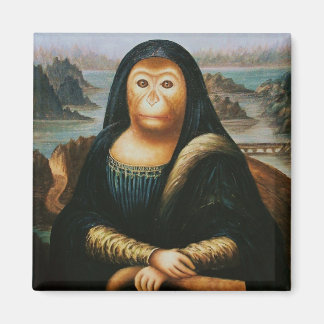 Aimant singe